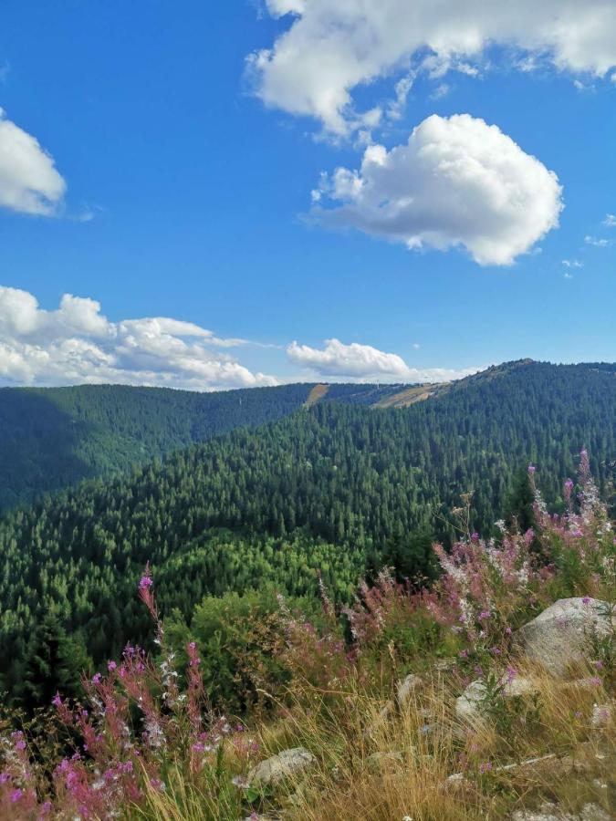 Hotel Trayal Крушевац Екстер'єр фото